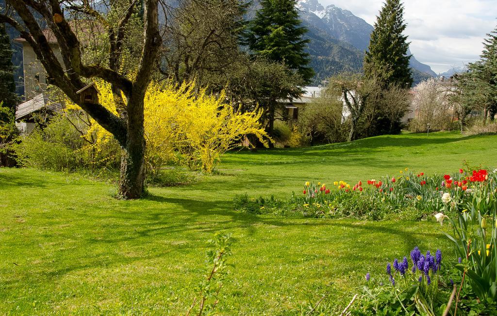 B&B Rossodisera Domegge di Cadore Exterior foto